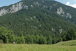 Участок земли в районе Бизовик, Любляна