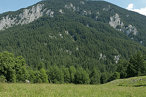 Земельный участок, предназначенный для строительства, в районе Новый Томачево.