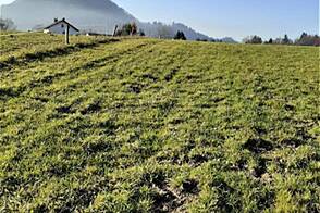 Земельный участок для инвестиций в Верхних Гамельнях