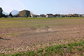 Земельный участок, расположенный в Горелово, в спокойном и солнечном месте.