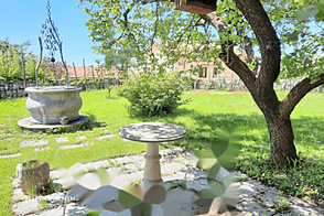 Дом в центре города Сежана