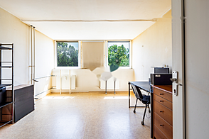 Жилище на Виче