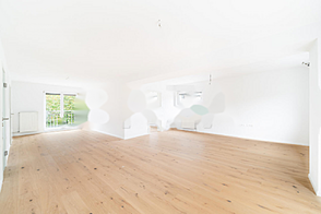 Квартира с четырьмя комнатами Шишка