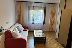 Шишка Дом с тремя комнатами