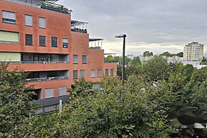 Трехкомнатная квартира в Любляне