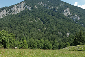 2,5-комнатная квартира в Ново Штепаньско Населье