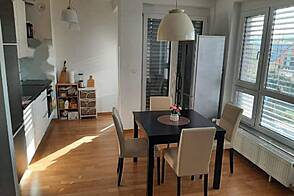 Двухкомнатная квартира, Шишка