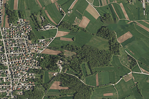 Жилище, Новое Поле