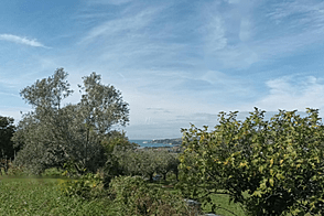 Ферма Сеча с видом на Сечовле расположена на участке.