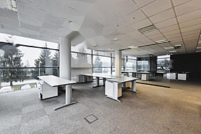 Помещение для офиса, Шишка