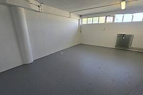 Помещение коммерческого назначения Шишка