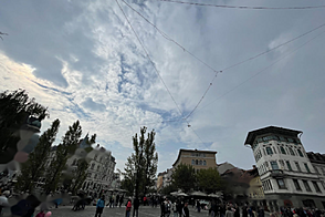 Совмещенное помещение в центре