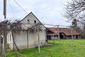 Петишовци, дом