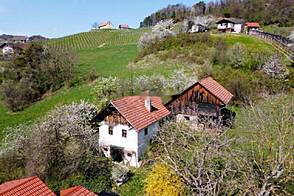 Вирштань дом