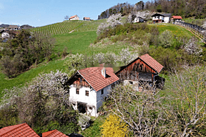 Вирштань дом