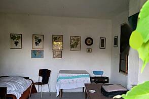 Квартира для двух семей в Капеле