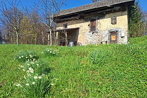 Жилище, Тржише, Тельче