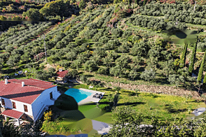 Семедела, дом, Копер