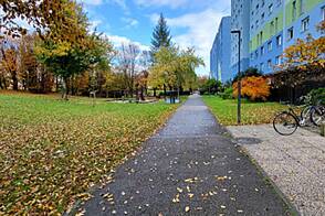 Студия в Дравле