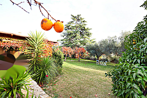 Жилище в Портороже