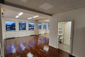 Шишка - торговое пространство