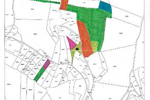 Усадьба, фермерское хозяйство Криж, земельный участок 1390 Верх.