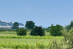 Драгонья, дом