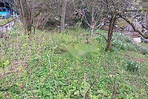 Участок земли, расположенный в районе Рудник