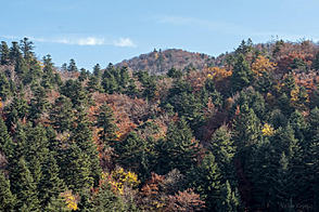 Участок, сельскохозяйственные земли Брежье, Перачица