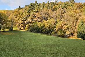 Земельный участок в Вишельнице, используемый как усадьба для сельскохозяйственной деятельности.