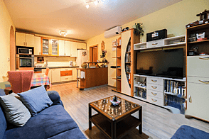 3-комнатная квартира в Новой Любляне.