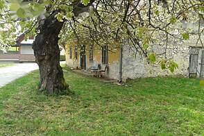 Усадьба, хозяйство Тополы, Текачево.