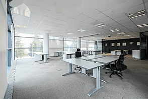 Помещение для офиса Шишка