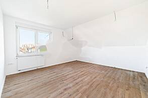 Полуторакомнатная квартира в Новом Любляне, Шишка