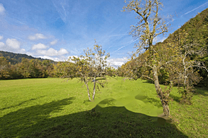 Кметияново Желимле Поместье