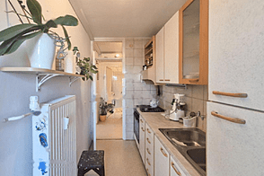 Двухкомнатная квартира в Новая Шишка