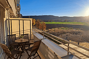 Однокомнатная квартира Шишка