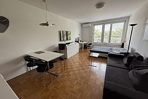 Однокомнатная квартира Шишка