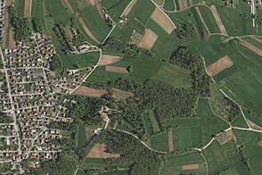 Здание в Новом Поле