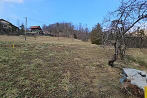 Дом, хозяйство Римские Топлице.