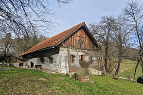 Березовая усадьба, фермерское хозяйство.