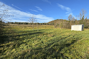 Дом Кметияново Драгонья