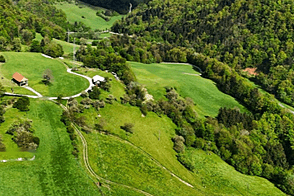 Дом, ферма Камник, съезд с трассы Трояне или Вранско.