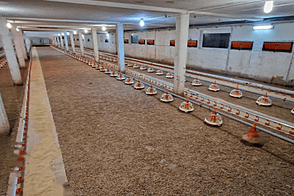 Дом Лапорье рядом со Словенской Бистрицей