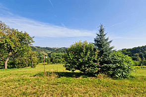 Усадьба, хозяйство Песница возле Марибора, Драгучова