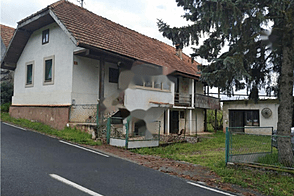 Жилище в Чрномеле, Дом