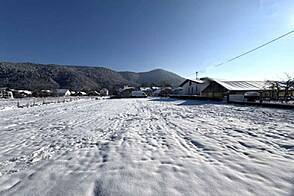 Земельный участок, Новые Ярше, Нижний Кашель.