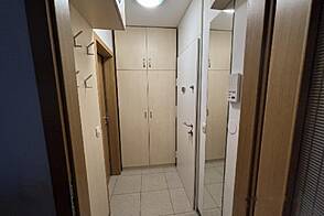 Квартира-студия Новая Шишка