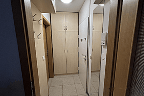 Квартира-студия Новая Шишка