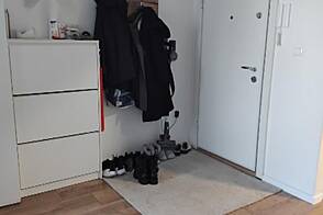 Трехкомнатная квартира на улице Рункова в Любляне